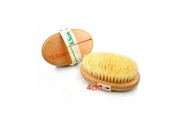 Specification of Beech Bath Shower Brush Specification of Beech Bath Shower Brush